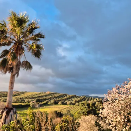 Fico D'india Country View